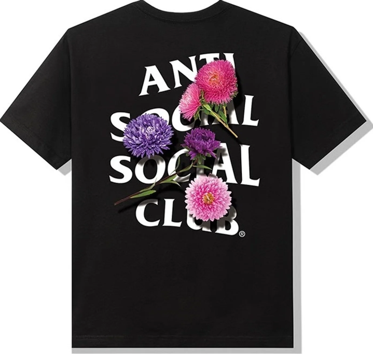 https://res.cloudinary.com/dlqdbsx2k/image/upload/v1760031732/gbt5efk3fbgw5efjkgfn_mcxb6r.png